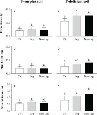 Green manure incorporation enhanced soil labile phosphorus and fruit tree growth